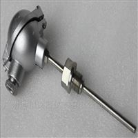 熱(rè)電阻式(shì)溫度傳(chuán)感器